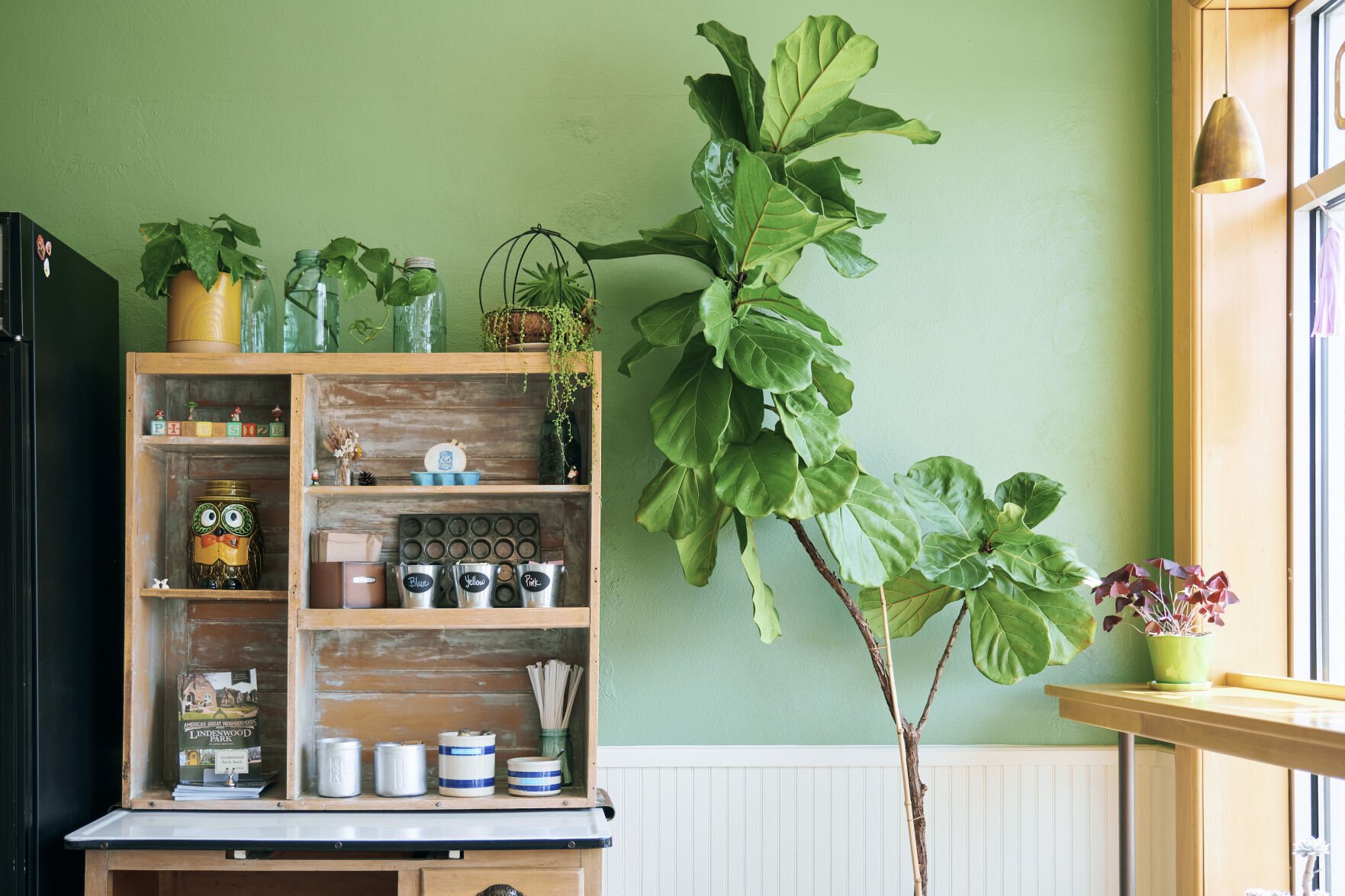 pint size green wall with cabinet